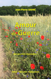 Amour de guerre, roman de jean-pierre barré