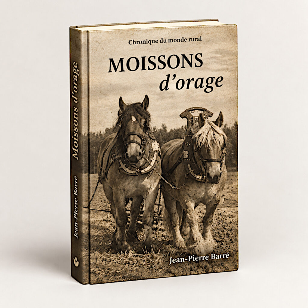 roman du terroir, première guerre mondiale, roman historique France, saga familiale, Touraine, livre guerre 14-18